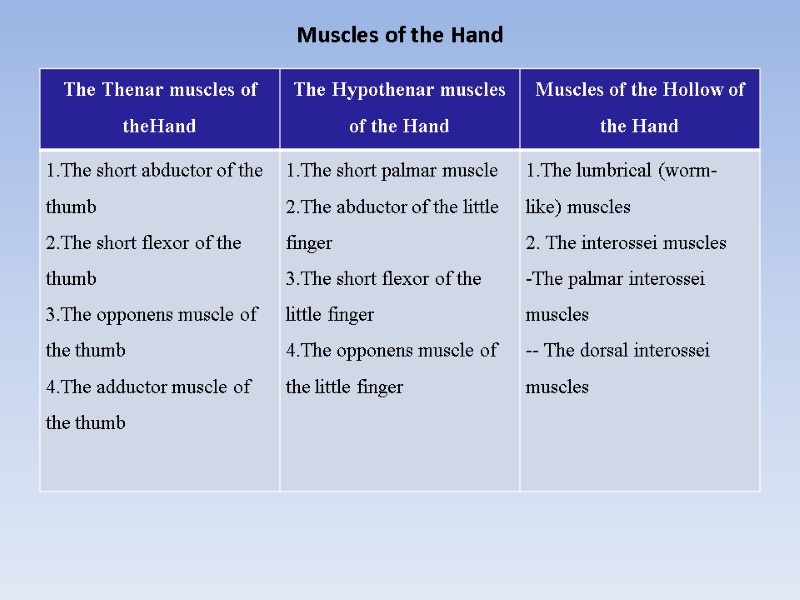 Muscles of the Hand